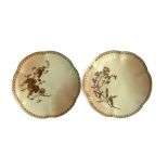 A pair of 19th century Royal Worcester blush ivory plates with floral designs, each 22cm diameter (2