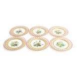 Six 19th century hand painted cabinet plates, each with central floral spray design, pierced