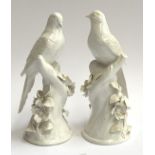 A pair of Crown Staffordshire blanc de chine porcelain figurines of doves, with encrusted bases,