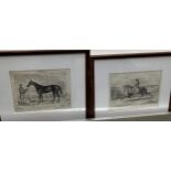 Flat racing interest, a pair of lithographs, 'The Trotting Cob-Silvertail', and 'The Racer-The