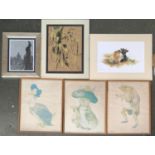 Three Beatrix Potter nursery prints, 43x34cm; together with a print of Jersey Cow, signed in