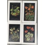 Four floral studies, signed Lewindowski, oil on canvas, 38x24cm