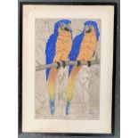 A coloured engraving of macaws, 30x20cm