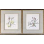 Pencil and watercolour studies of flowers, each signed 'SEC' 74 and 77 lower right, 31.5x26.5cm