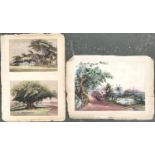 Two watercolours of Indian scenes (backed onto a single sheet), 'The Gardens of Government House,