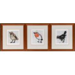 Richard Spare (b. 1951), 3 coloured etchings, 'Mr Thrush' (44/100), 'Robin' (57/100) and 'Blackbird'