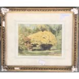 20th century watercolour, 'Azaleas, Kew Gardens', initialed and dated 1948, 12x16cm