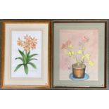 A botanical watercolour study by Alastair Gordon, 1984, 44x28cm, together with a still life of