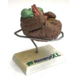 A Reminyl XL rubber model brain