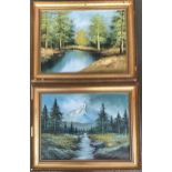 Two 20th century oil on canvas landscape studies depicting a lake and an alpine mountain, each 43.