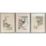 Three Japanese woodblock prints depicting birds, each 31x21.5cm (3)