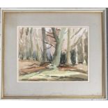 20th century British, watercolour of trees, 34x44cm