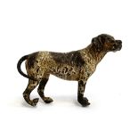 A cold painted bronze of a foxhound, marked to underside, 7cm high