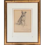 Lucy Dawson (1875-1954), pencil study of a a dog, 'Corky' belonged to W. Henry East of California,