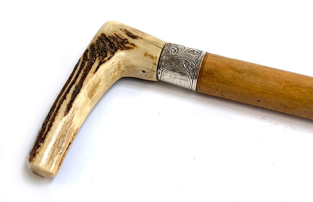 A late 19th century horse measuring stick by Arnold & Sons London, Malacca cane and antler handle - Image 2 of 2