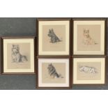 After Lucy Dawson, 5 colour prints of dog studies, the largest 23x20cm, together with one other by M