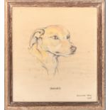 Halcyon Weir (1912-1978), 'Bodger', study of a dog's head, pencil and pastel on paper, signed and