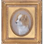 20th century British, pastel study of a spaniel, in oval mount, 15x12.5cm