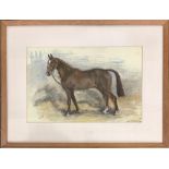 A pastel study of a hunter with bridle, signed indistinctly signed, bears label for Frost & Reed