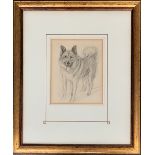 Lucy Dawson (1875-1954), pencil study of a Husky, 19x15cm