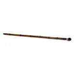 A bamboo walking cane with tiger's eye knop, white metal collar monogrammed WBI, 85cm long
