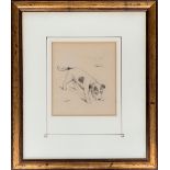 Lucy Dawson (1875-1954), pencil study of a Jack Russell Terrier, 20x17.5cm