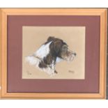 A pastel study of a terrier, 'Johnny', initialled and dated PS (Pamela Skinner) 1954, 25x30.5cm