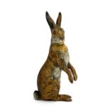 A cold painted bronze of a hare, 10.5cm high (2 threaded holes to underside)