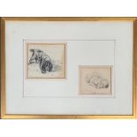 Lucy Dawson (1875-1954), two pencil studies of a Cocker Spaniel, 11.5x12.5cm, and a Pekingese '