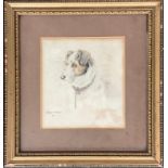 Lesley Matthews (Ellwood), watercolour study of a terrier, signed and dated 1914, 14x12.5
