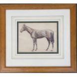 20th century British, watercolour and pencil study of a horse, signed indistinctly, 21x27.5cm