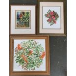 Two floral watercolour studies, one of rowan berries, 27x21cm and 36.5x36cm; together with a further