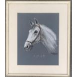 20th century, study of a horse's head, pastel on paper, signed P. Popelka, 'Alpler', 40x32cm