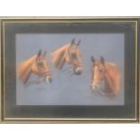 Elizabeth Kitson, pastel study of three polo ponies, 'Caprice', 'Romeo' and 'Mareta', dated 1981,