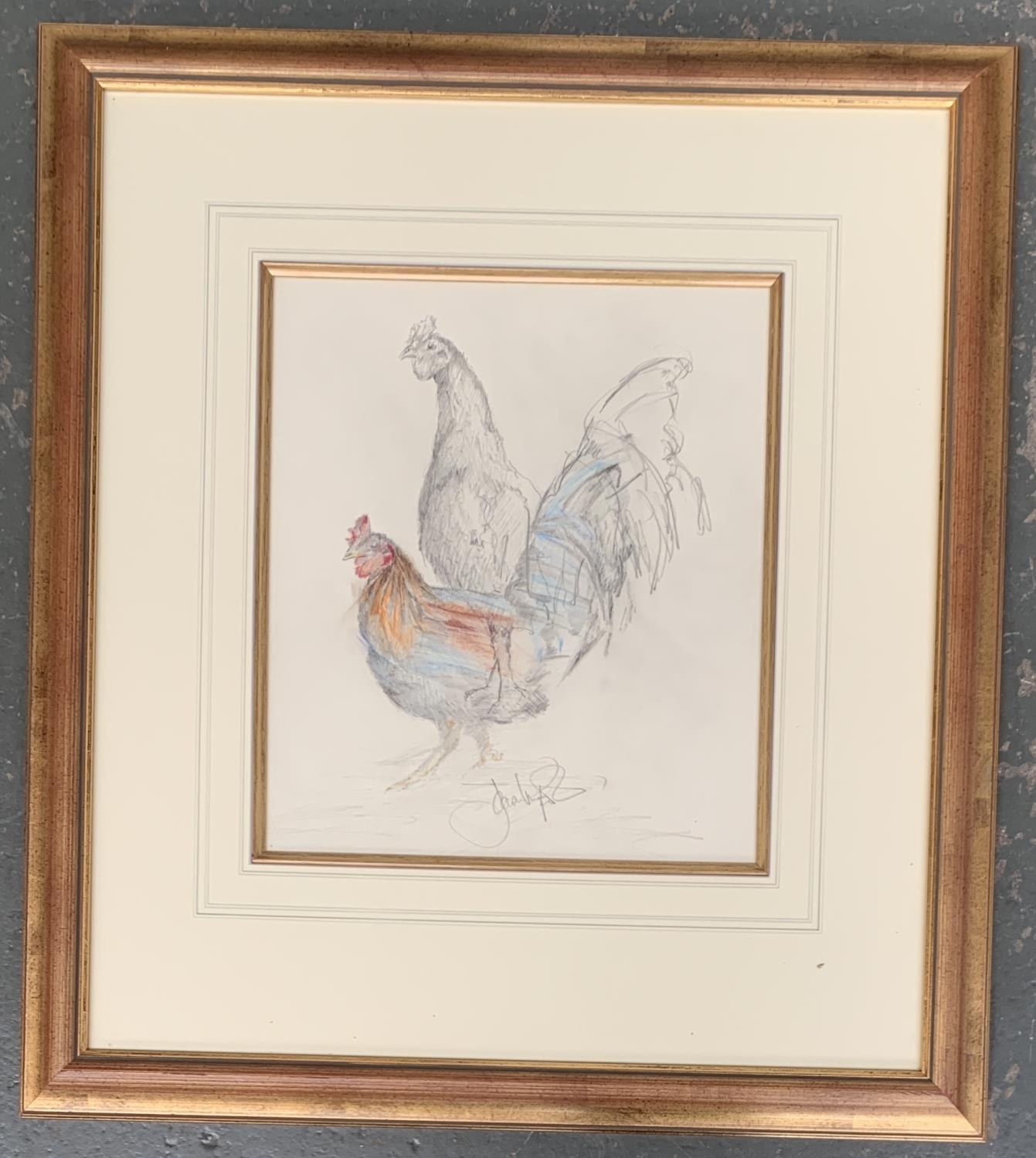 20th century, study of cocks, pencil and coloured pencil, signed indistinctly, 35x30cm