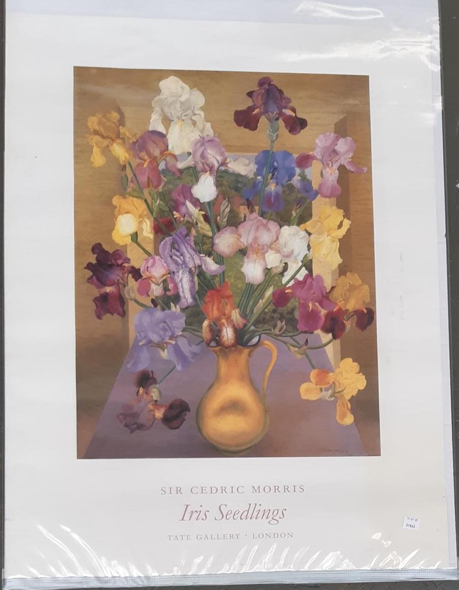 Sir Cedric Morris (1889-1982) Iris Seedlings Exhibition Poster, Tate gallery, London 80 x 60cm