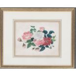 19th century watercolour, study of roses, 24x32cm