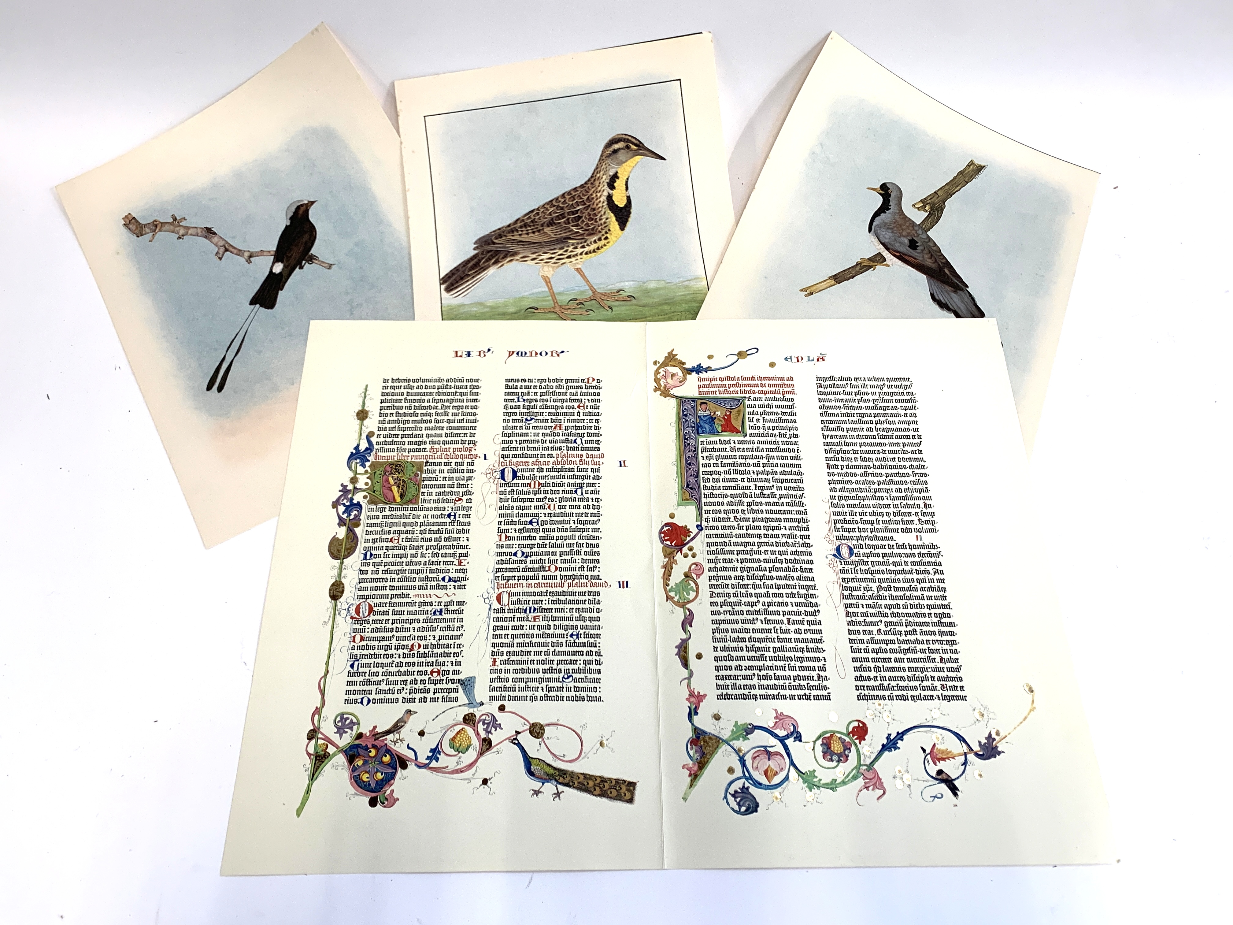 Three 20th century ornithological prints after Lewin, together with a 20th century reproduction