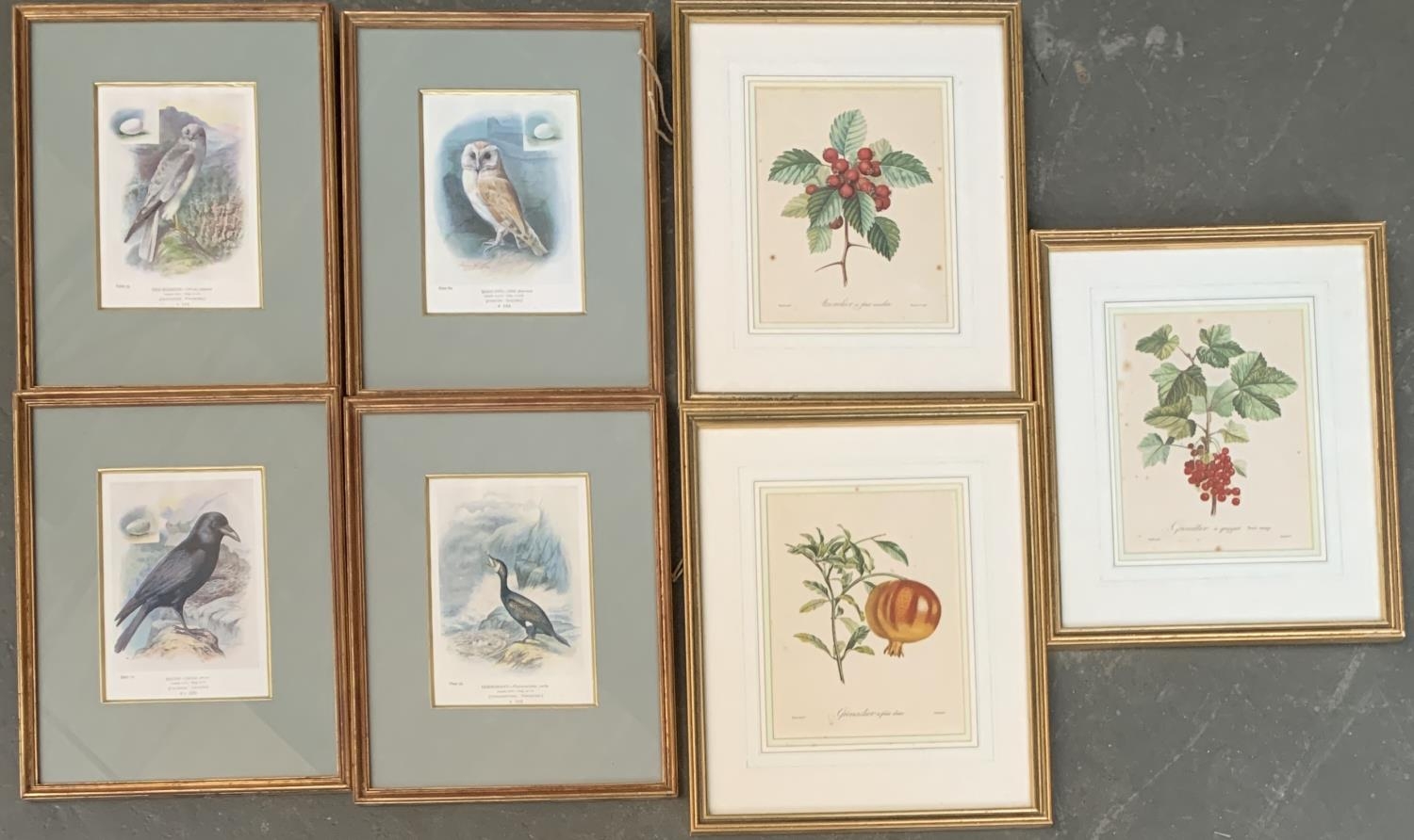 A set of 4 20th century prints of birds, together with a set of 3 20th century prints of fruit