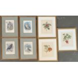 A set of 4 20th century prints of birds, together with a set of 3 20th century prints of fruit