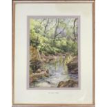 Robert Yuill (1839-1934), watercolour of a wooded stream, 29.5x20.5cm