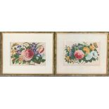 A pair of floral studies, gouache on vellum, each 19x29cm Provenance: from the collection of