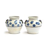 A pair of Chinese blue and white vases of wine jar form, with applied lion terminal loop handles and