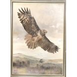 A 20th century oil on canvas study of a buzzard over a moor, M Coleman-Cooke, dated 1980, 80x57cm