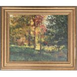 Bogomir Bogdanovic (1923-2011), oil on canvas, autumnal trees, 39.5x49cm