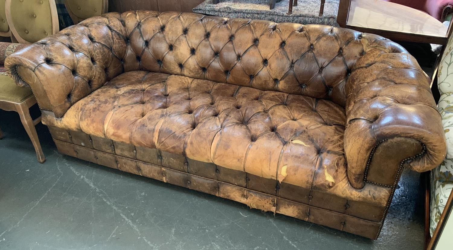 A brown leather upholstered chesterfield button back sofa, with tears and wear, 205cmW