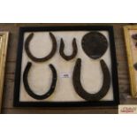 A display board of various types of horseshoe