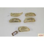 Five various scrimshaw decorated whales teeth