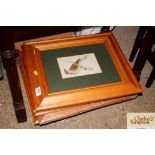Six various pine framed ornithological prints etc