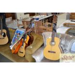 Six various acoustic guitars